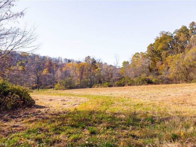 Plum Road, Kimbolton, OH 43749 Photo 29