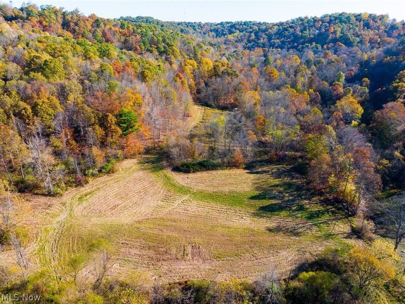 Plum Road, Kimbolton, OH 43749 Photo 3