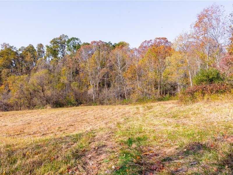 Plum Road, Kimbolton, OH 43749 Photo 30