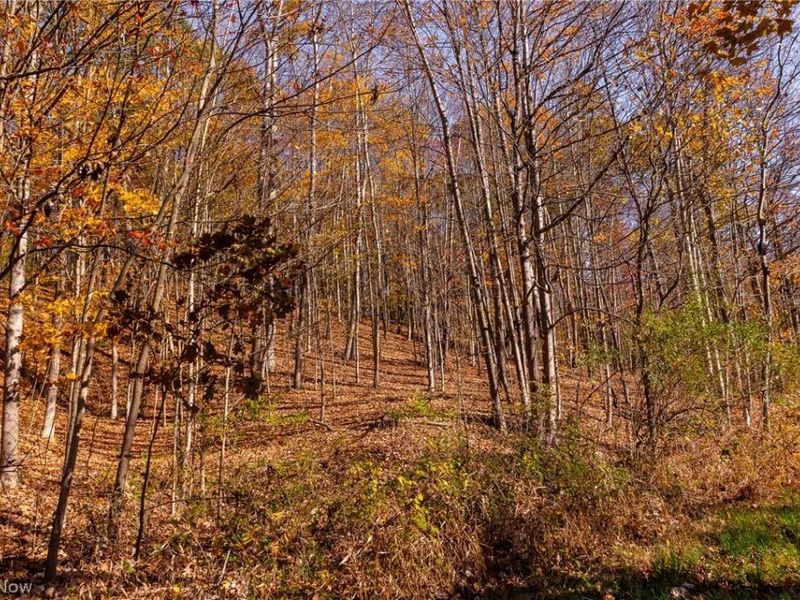 Plum Road, Kimbolton, OH 43749 Photo 31