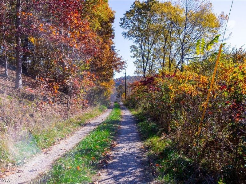 Plum Road, Kimbolton, OH 43749 Photo 32