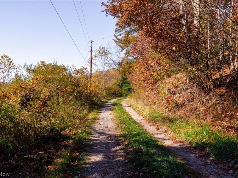 Plum Road, Kimbolton, OH 43749 Photo 33