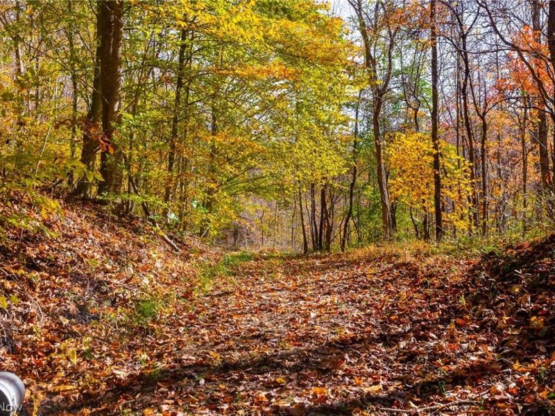 Plum Road, Kimbolton, OH 43749 Photo 34