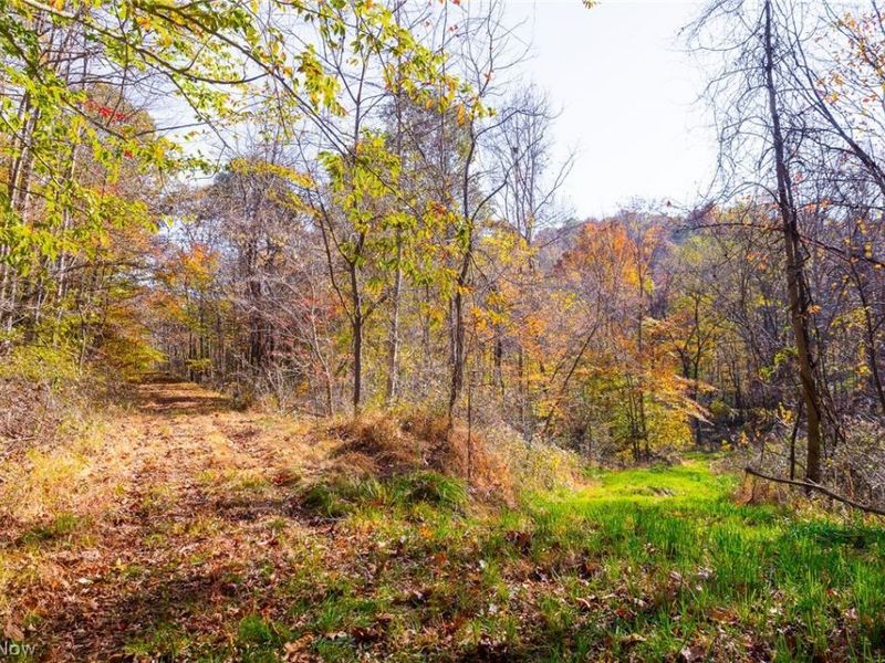 Plum Road, Kimbolton, OH 43749 Photo 35