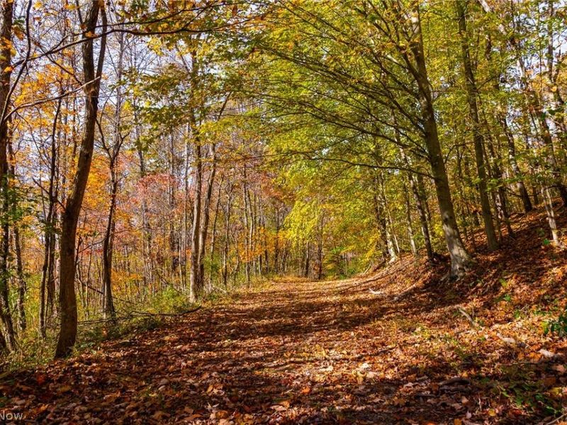 Plum Road, Kimbolton, OH 43749 Photo 36