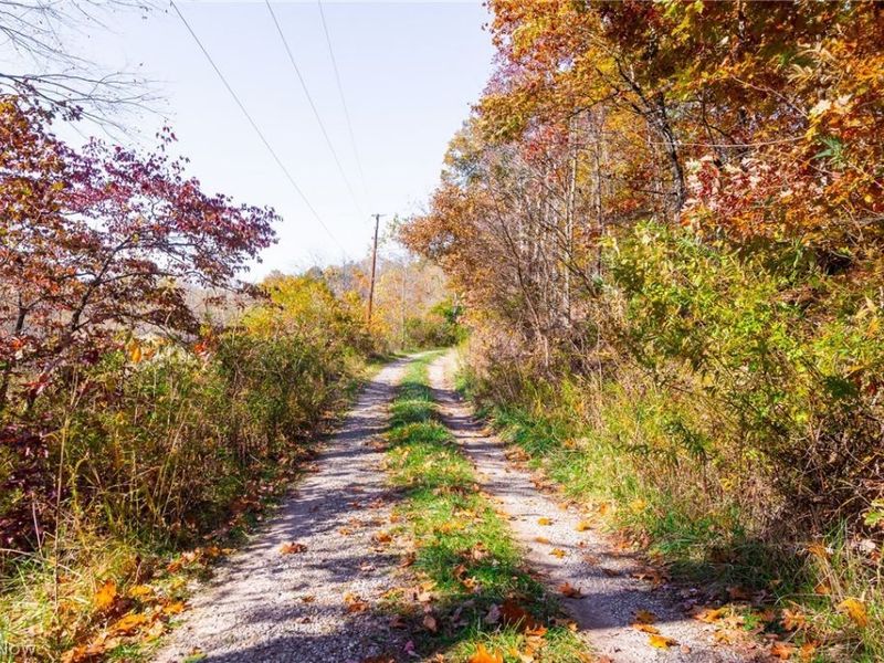 Plum Road, Kimbolton, OH 43749 Photo 37