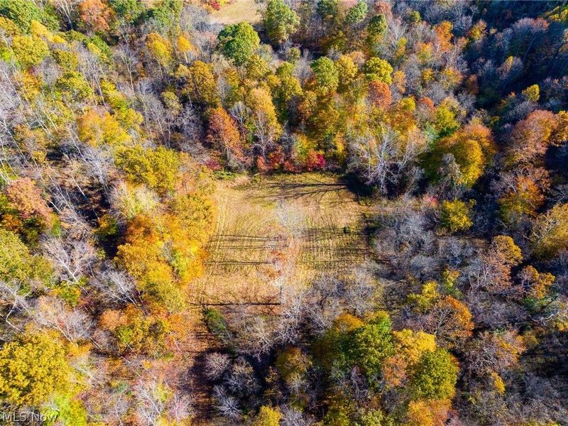 Plum Road, Kimbolton, OH 43749 Photo 43