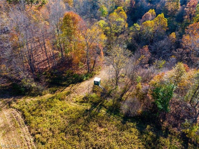 Plum Road, Kimbolton, OH 43749 Photo 44