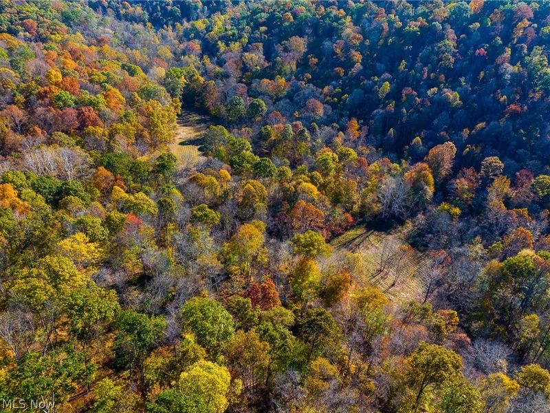 Plum Road, Kimbolton, OH 43749 Photo 48