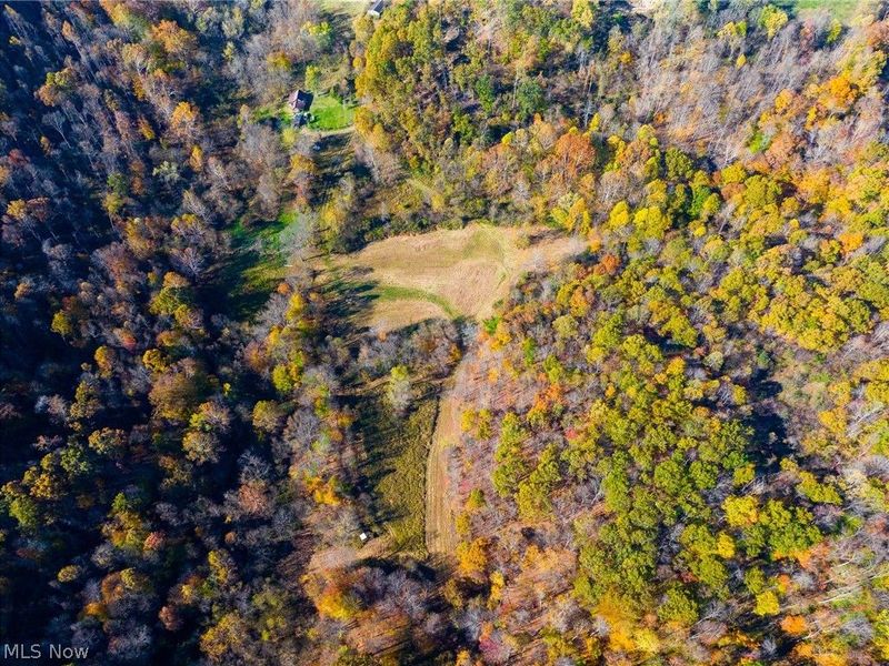 Plum Road, Kimbolton, OH 43749 Photo 49