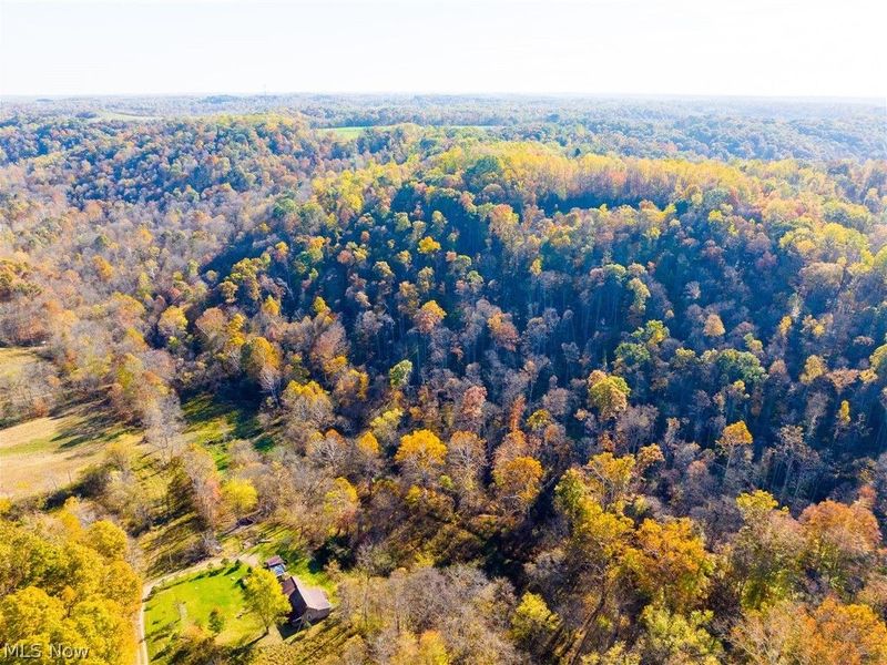 Plum Road, Kimbolton, OH 43749 Photo 50