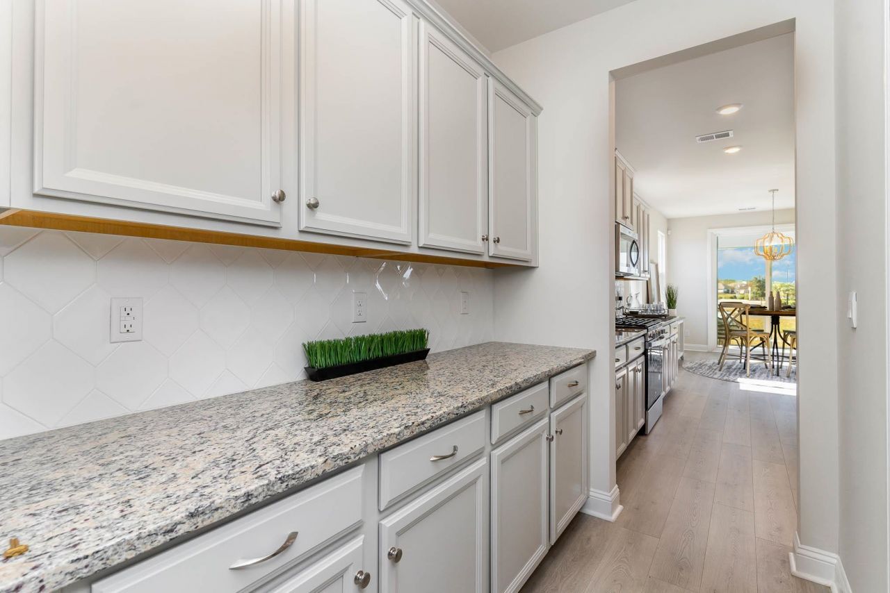 293 Hadley Springs Ave Photo 6