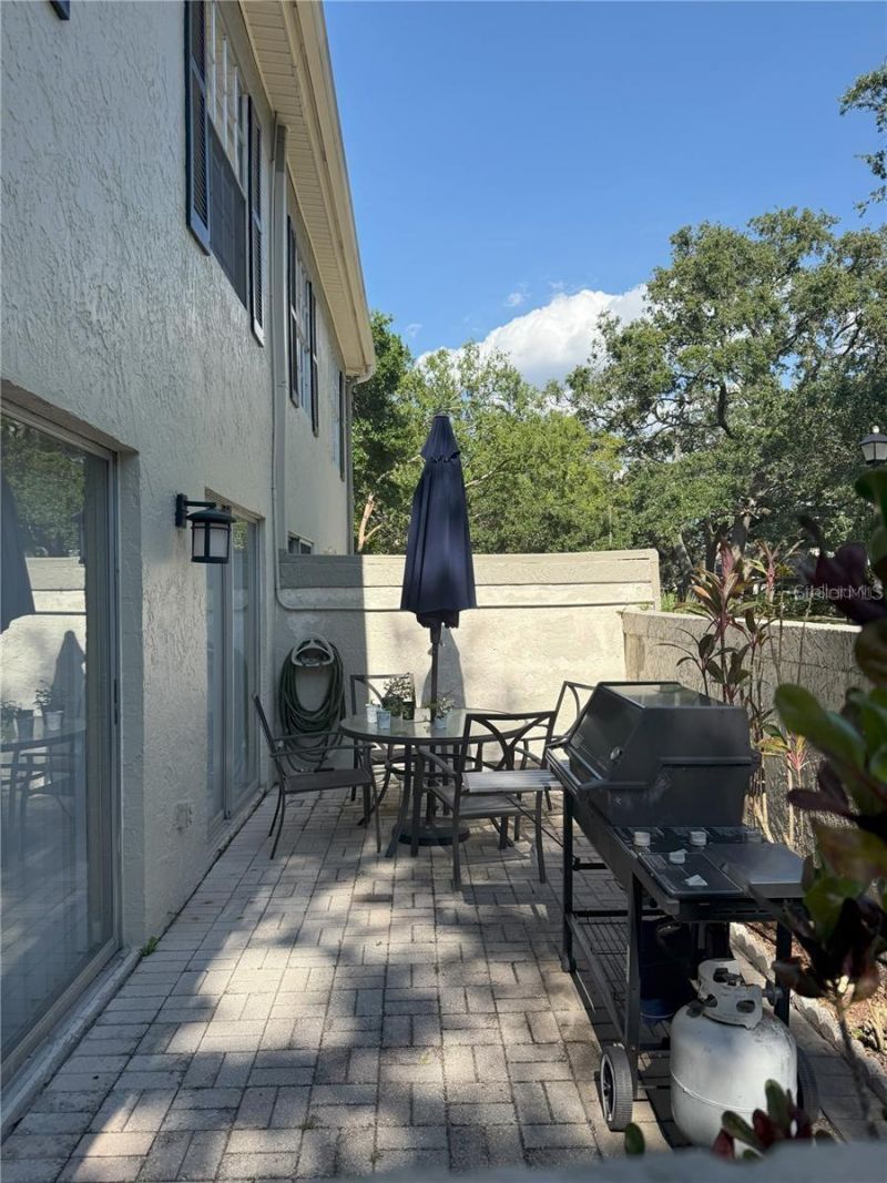 11764 Raintree Drive, Temple Terrace, FL 33617 Photo