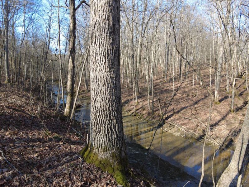 1459 Ohio 73, Bratton Twp, OH 45660 Photo 10