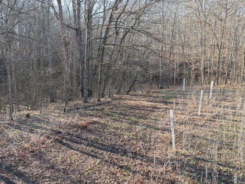 1459 Ohio 73, Bratton Twp, OH 45660 Photo 18