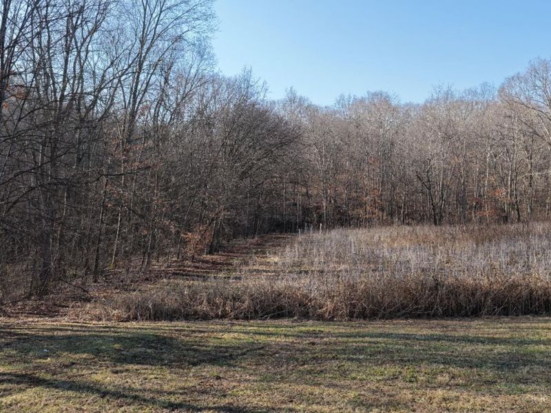 1459 Ohio 73, Bratton Twp, OH 45660 Photo 22