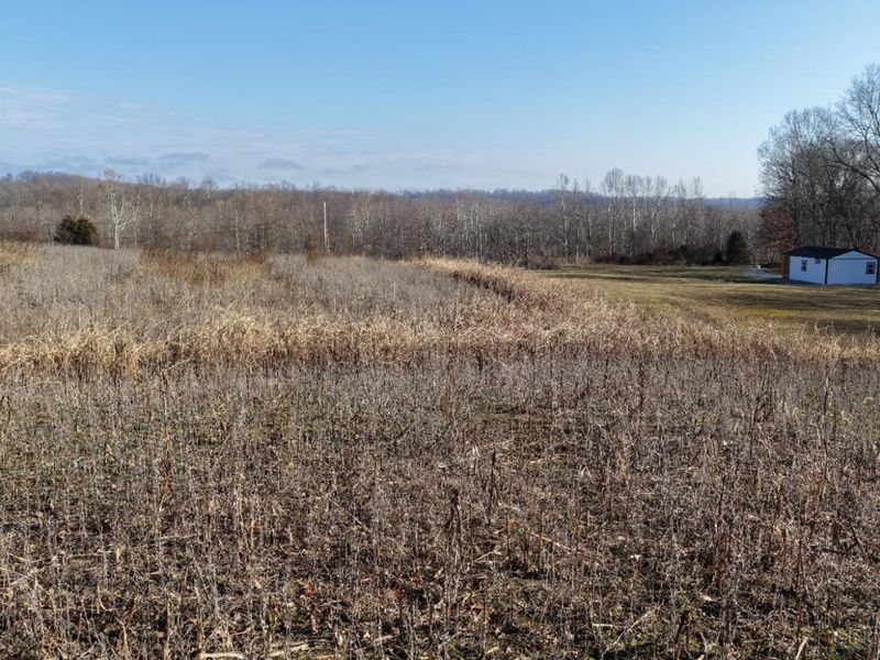 1459 Ohio 73, Bratton Twp, OH 45660 Photo 23