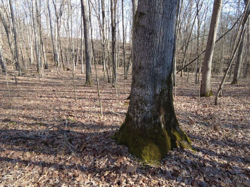 1459 Ohio 73, Bratton Twp, OH 45660 Photo 25