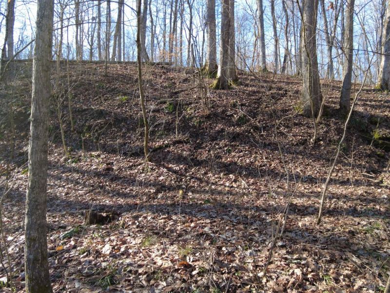 1459 Ohio 73, Bratton Twp, OH 45660 Photo 26