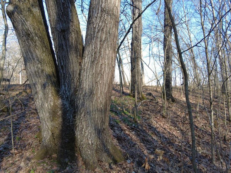 1459 Ohio 73, Bratton Twp, OH 45660 Photo 27