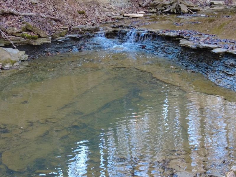 1459 Ohio 73, Bratton Twp, OH 45660 Photo 32