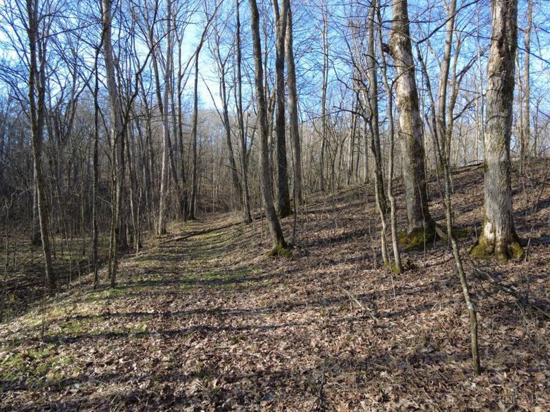 1459 Ohio 73, Bratton Twp, OH 45660 Photo 33