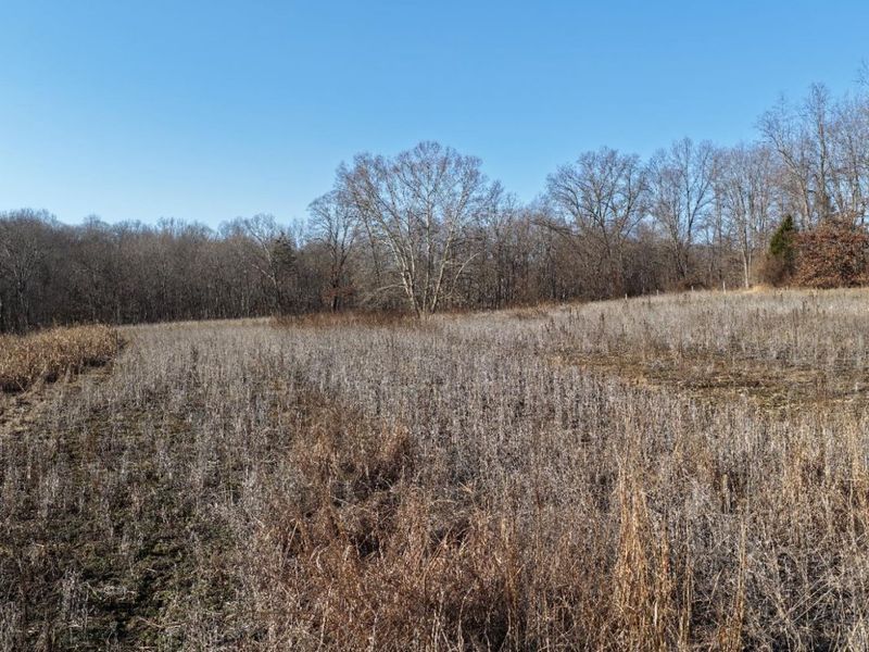 1459 Ohio 73, Bratton Twp, OH 45660 Photo 36