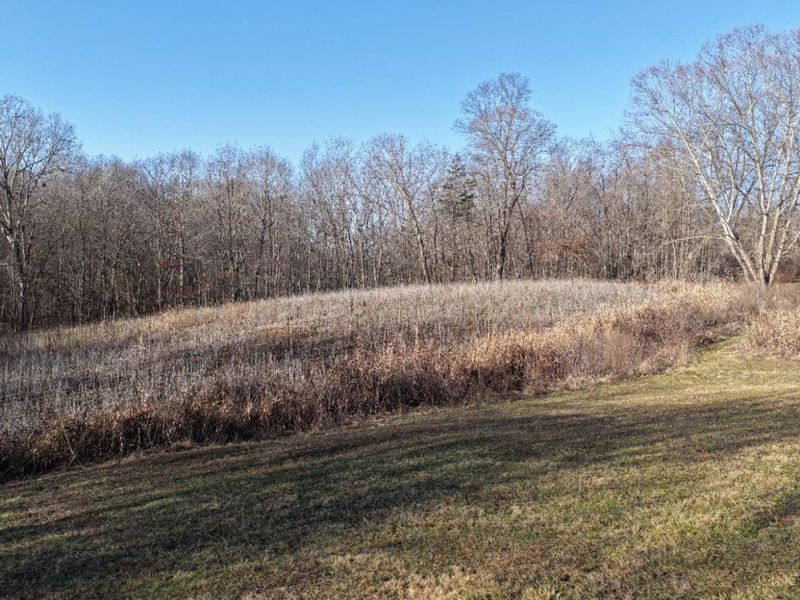 1459 Ohio 73, Bratton Twp, OH 45660 Photo 37