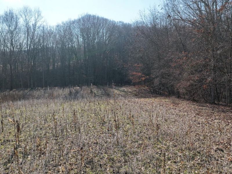 1459 Ohio 73, Bratton Twp, OH 45660 Photo 38