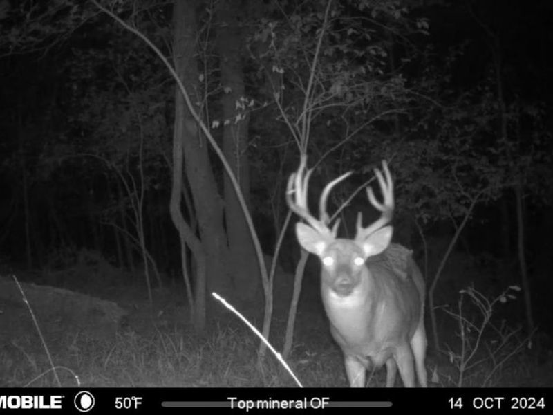 1459 Ohio 73, Bratton Twp, OH 45660 Photo 41