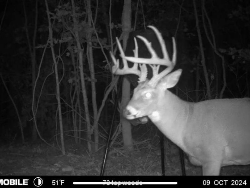 1459 Ohio 73, Bratton Twp, OH 45660 Photo 42