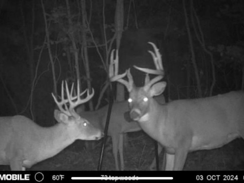 1459 Ohio 73, Bratton Twp, OH 45660 Photo 43