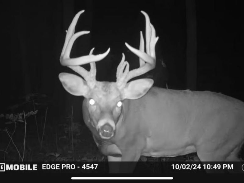 1459 Ohio 73, Bratton Twp, OH 45660 Photo 44