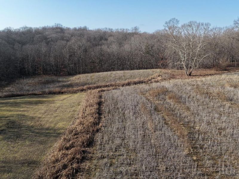 1459 Ohio 73, Bratton Twp, OH 45660 Photo 5