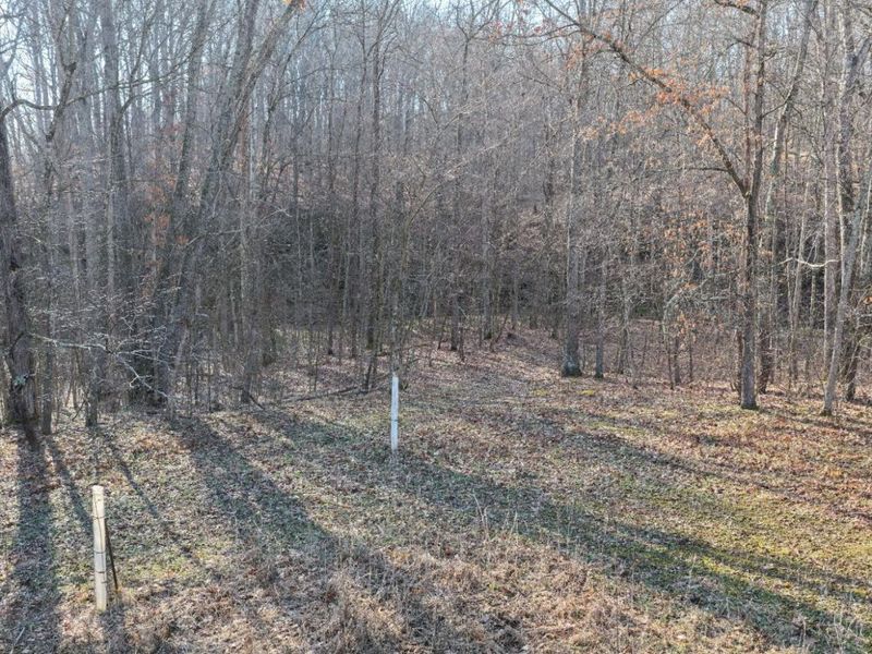 1459 Ohio 73, Bratton Twp, OH 45660 Photo 6