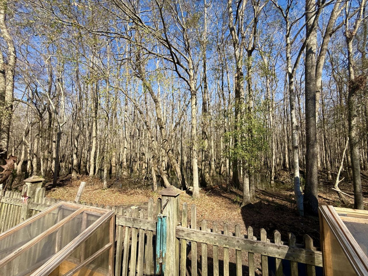 112 Clearview Circle Photo 11