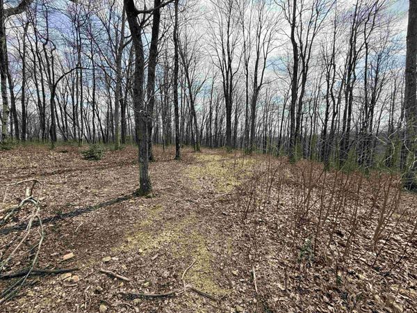 Lot 1 The Vale Road, Bridgeport, WV 26330