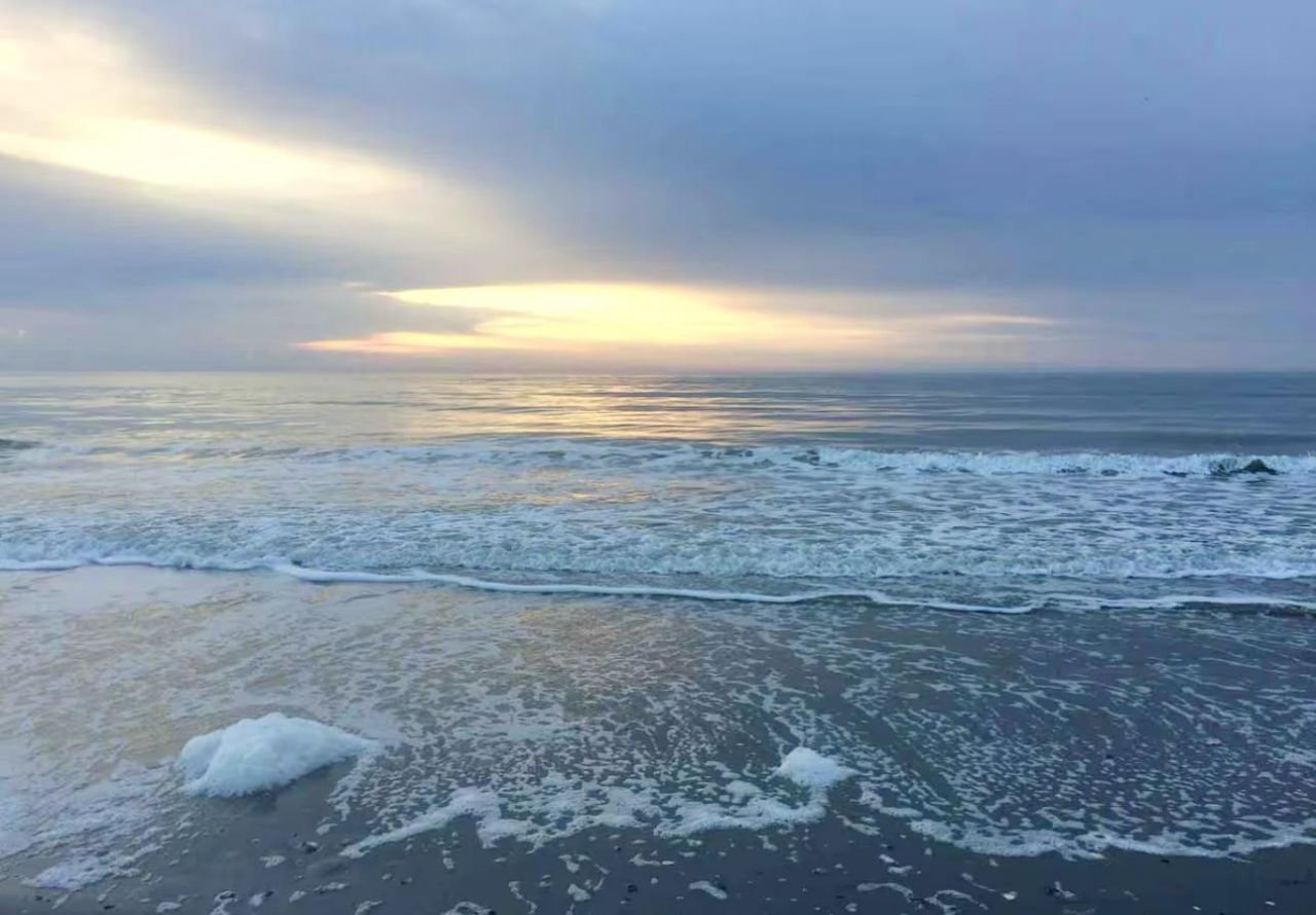 100 North Beach Blvd.  Photo 21