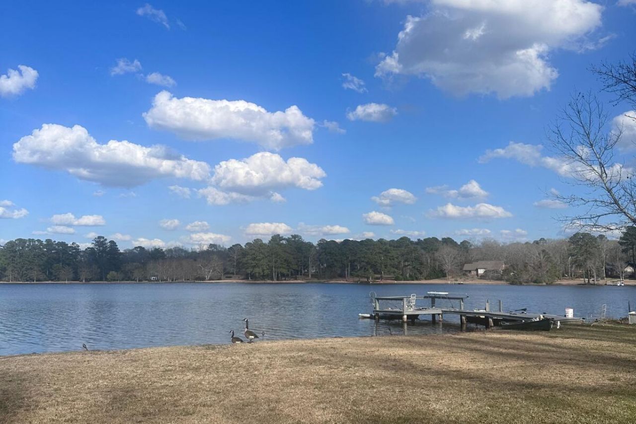 2951 Waverly Drive Photo 1