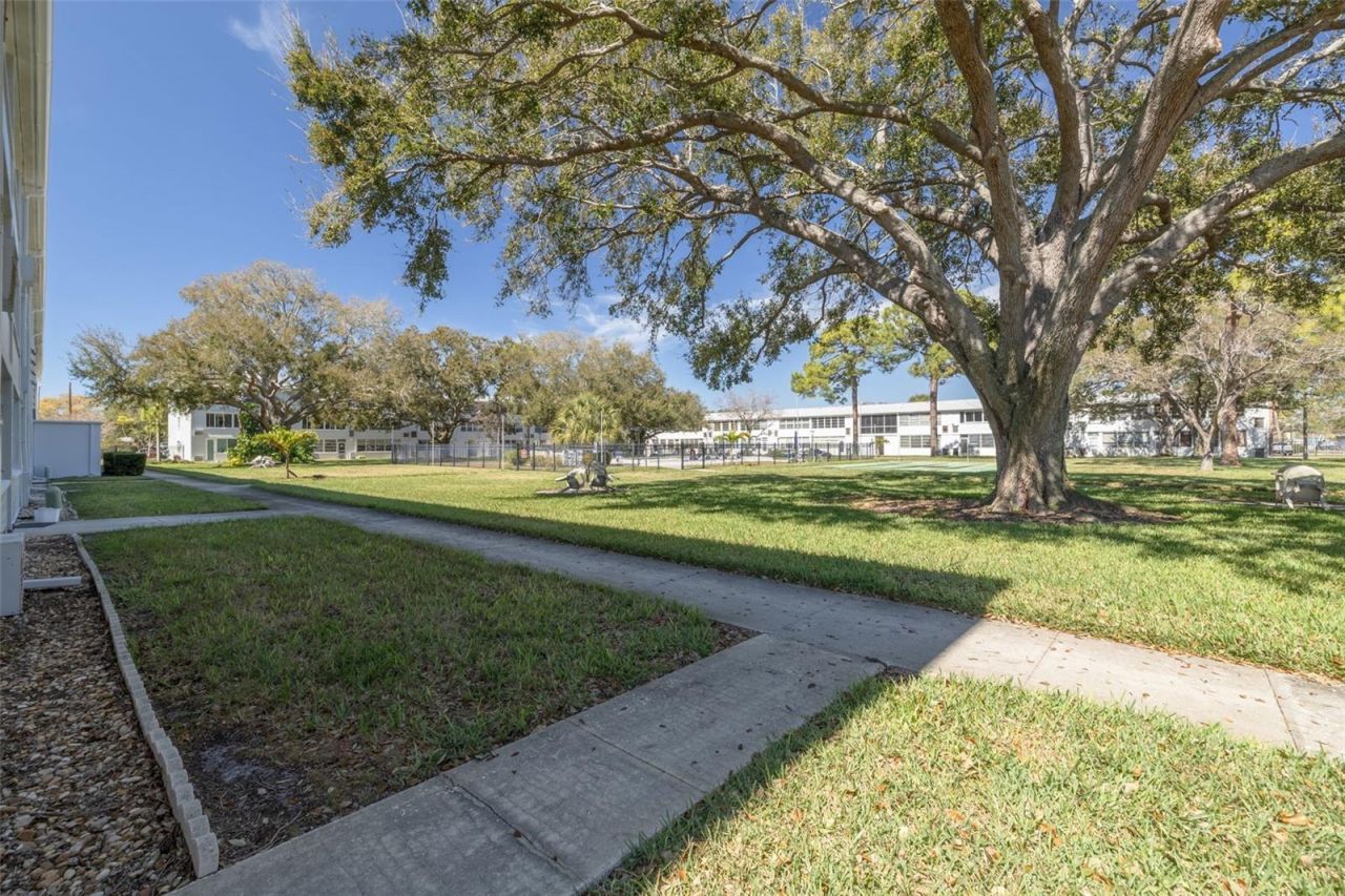 1001 77th Avenue N, Unit 112, Saint Petersburg, FL 33702 Photo