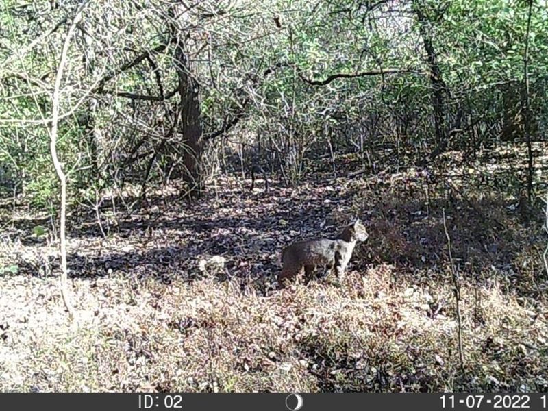 398 St Rt 133, Franklin Twp, OH 45120 Photo 41