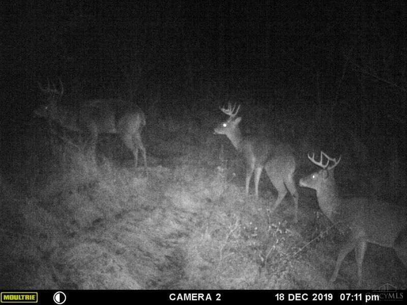 398 St Rt 133, Franklin Twp, OH 45120 Photo 42