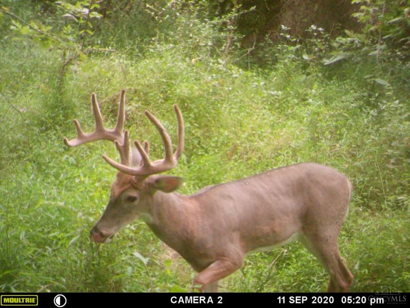 398 St Rt 133, Franklin Twp, OH 45120 Photo 43