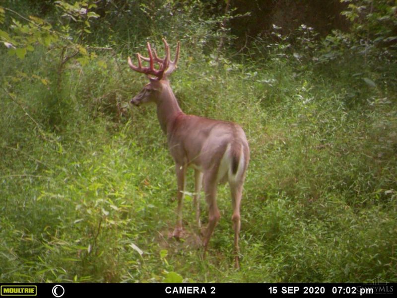 398 St Rt 133, Franklin Twp, OH 45120 Photo 44