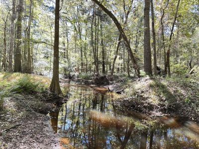 0 Big Bird Lane, Summerville, SC 29483