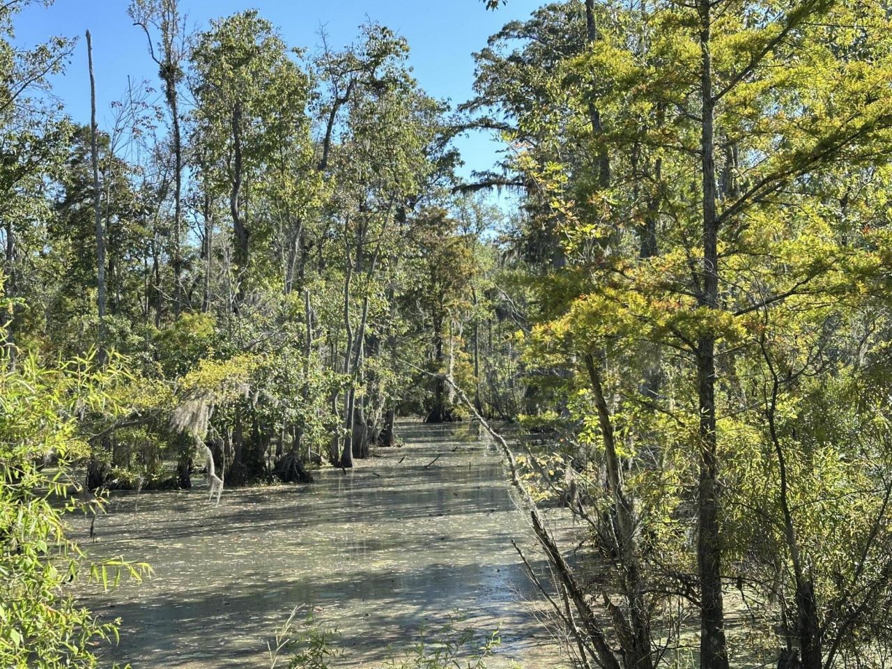 0 Big Bird Lane Photo 11