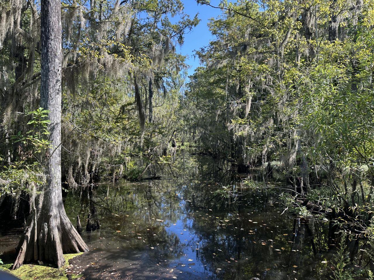 0 Big Bird Lane Photo 12