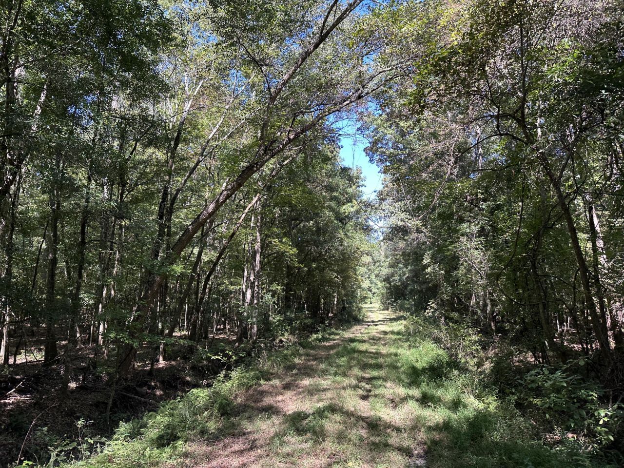 0 Big Bird Lane Photo 15