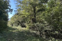 0 Big Bird Lane photo 4