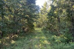 0 Big Bird Lane photo 4